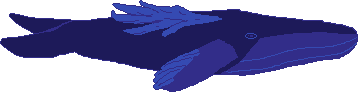 whale animation